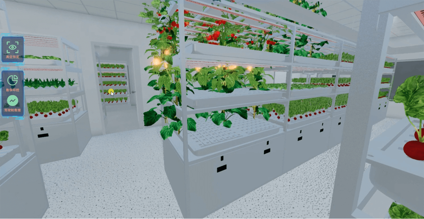  農業(yè)物聯(lián)網植物工廠